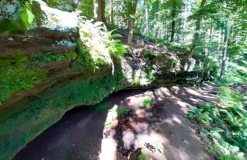 Rodalben Apartment | Gemütliche Fewo am Felsenwanderweg