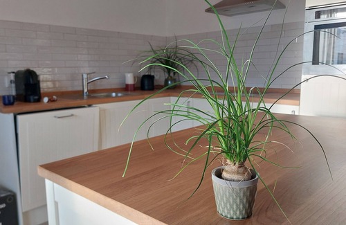 Kraftisried Apartment | Gemütliche Neue Wohnung in Altem Bauernhof im Ostallgäu