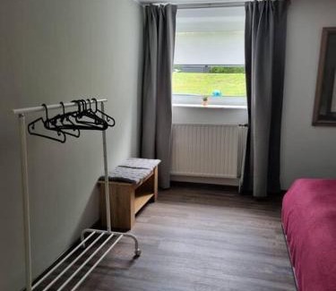 Sarreguemines Apartment | Gemütliche Oase - Geräumige Unterkunft
