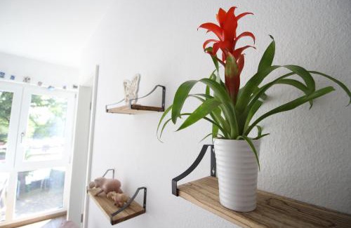 Rhein-Erft-Kreis District Apartment | Gemütliches Apartment bei Köln