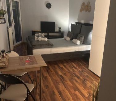 Rheingauviertel Apartment | Gemütliches Apartment in Wiesbaden