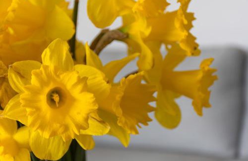 West Melton Bed & Breakfast | Gem bed and breakfast