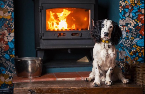 Hurstbourne Tarrant Hotel | George and Dragon