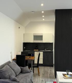 Quakenbruck Apartment | Geräumige Einzimmerwohnung in Quakenbrück