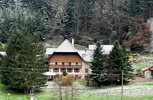 Seelbach Apartment | Geräumige Wohnung im Schwarzwald