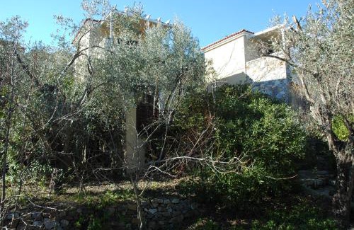 Gera House | Gera's Olive Grove - Elaionas Lesvou