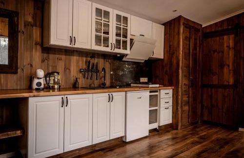 Alytus county Apartment | Gervės Dvaro Deluxe
