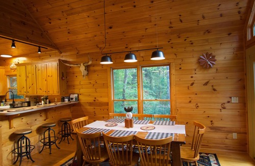 Ferguson Cabin | Get Cozy, Get Adventurous! 8-Guest Rustic Cabin w/Hot Tub, Games & Pond