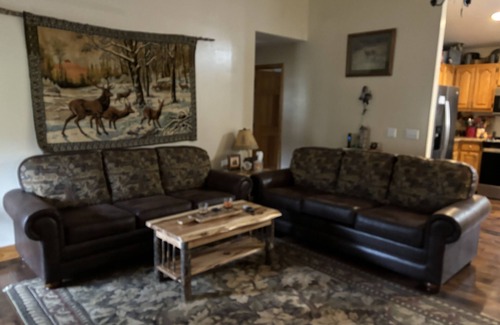 Topton Cabin | Get in on June Special price at Cabin Fever ! Near Lake Nantahala Wedding Venue