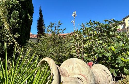 Ca' Savio Apartment | Giardino Fiorito