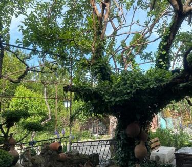 Didi Ateni House | Gigi's Guesthouse