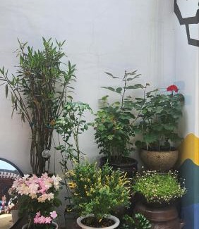 Samseon-dong House | Gilgaon Hanok Stay