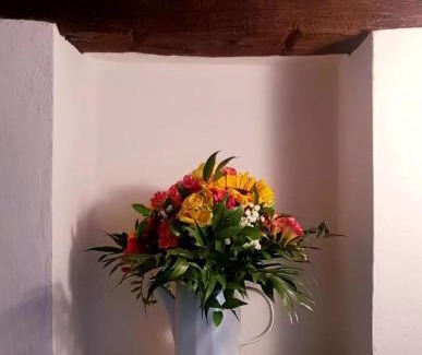 Panzano in Chianti Apartment | Ginevra Casa Vacanze
