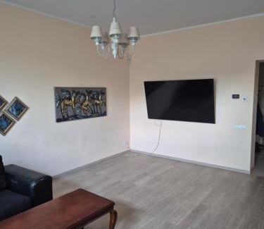 Siauliai City Center Apartment | Gintautas apartment