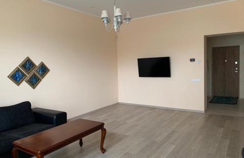 Siauliai City Center Apartment | Gintautas apartment