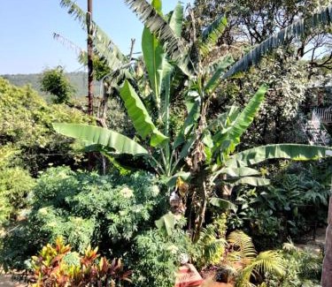 Mahabaleshwar House | Girichintan Bunglow