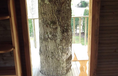 Saint-Gatien-des-Bois Cottage | gite 4a8 pers on the heights of honfleur in the forest, private parking closed at night