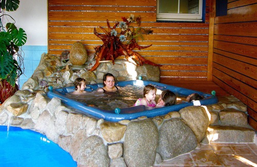 Gerardmer House | Gîte/Chalet* indoor swimming pool for private use, bordering the forest, panoramic view