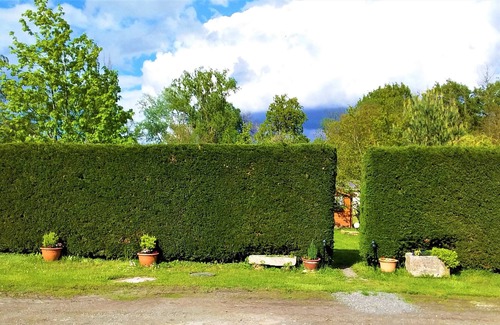 Bernardswiller Cottage | GITE DE LA SECKMATT IN FULL NATURE 8 PEOPLE