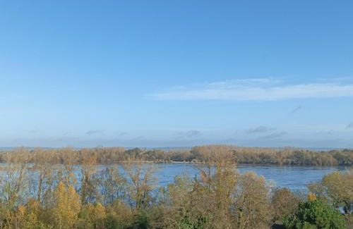 Montsoreau House | Gite des Perreyeurs - maison troglodyte avec vue sur Loire