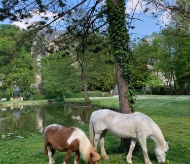 Saint-Paterne-Racan House | Gite Familial Chateau La Roche Racan