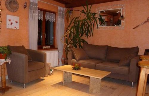 Sainte-Croix-aux-Mines House | Gite