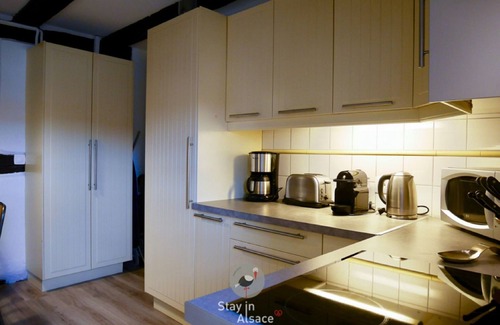 Colmar Centre Ville Cottage | Gite Grand'Rue in the center of vieille ville