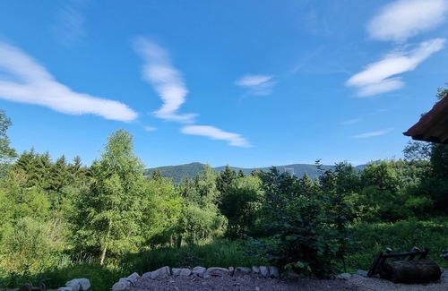 Ban-sur-Meurthe-Clefcy House | Gite in the Vosges, near Gérardmer, quiet location, isolated in nature