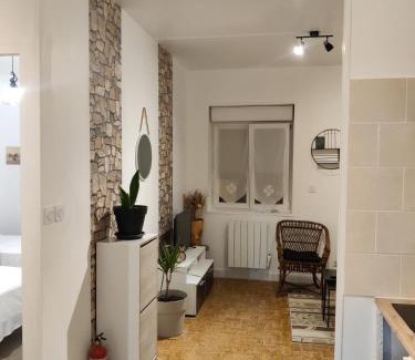 Romilly-sur-Seine Apartment | gite l'olivier 2