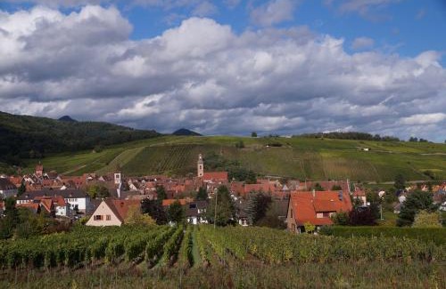 Riquewihr House | Gite Le Mandlé