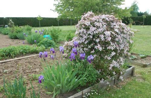 Francueil House | Gite Les Coquelicots