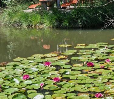 Biffontaine House | Gite Les Temps Calmes