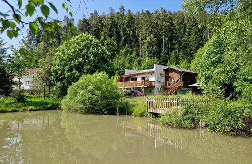 Biffontaine House | Gite Les Temps Calmes