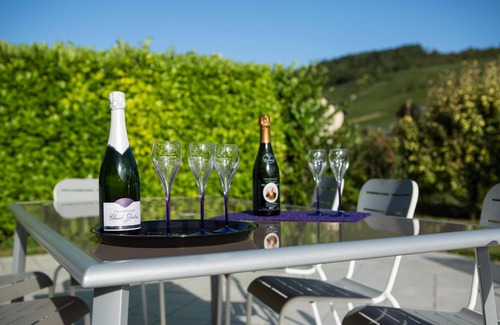 Venteuil Cottage | GITE - Opposite Champagne du Rédempteur