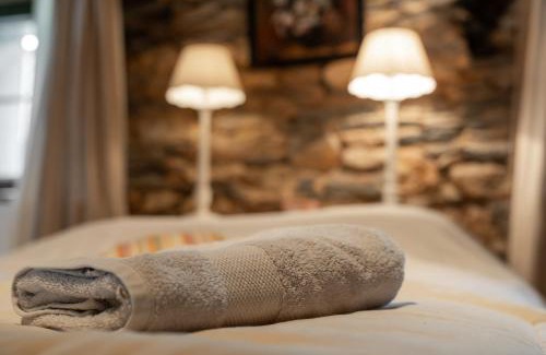Vielsalm House | Gite - Saze Canne - 11 personnes