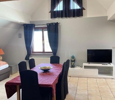 Selestat Apartment | GITE SPACIEUX AU COEUR DE L'ALSACE 3*