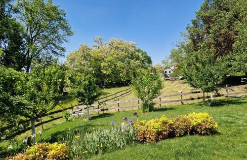 Berstett Apartment | Gite Terre d'Helene 4 à 5 pers proche Strasbourg 42 m2, 3 étoiles, wifi, paisible, jardin, proche commerces,16 atouts, animaux acceptés