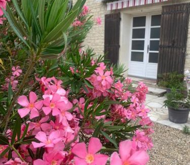 Villeneuve-la-Comtesse Apartment | Gite VILLENEUVE LA COMTESSE