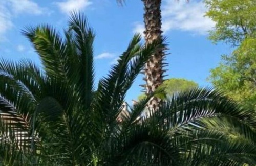 Mougins Apartment | Gite Yucca