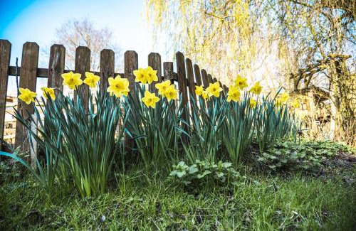 Jumencourt House | GITES CURCUMA et COMPAGNIE