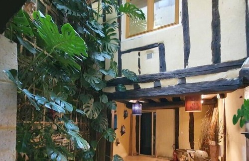 Eauze Apartment | Gites Elusate