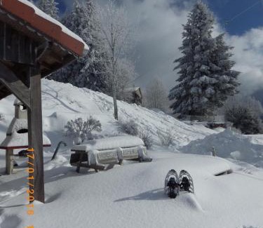 Vagney House | gites Les Bleuets