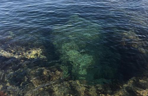 Capo Mannu House | Giuditta
