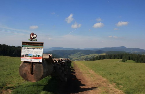 Todtnau House | Glöcklehof