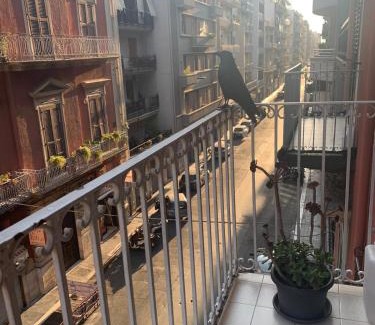 Bari City Centre Bed & Breakfast | GL Sun Palace