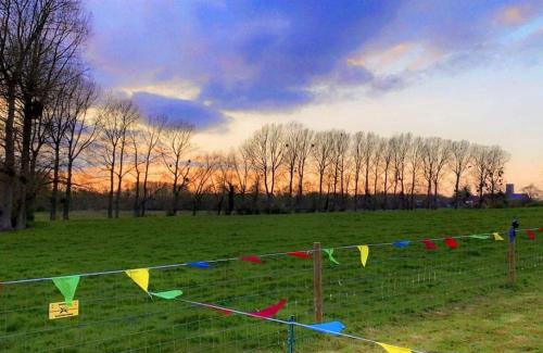 Aldeby Resort | Glamp At The Priory