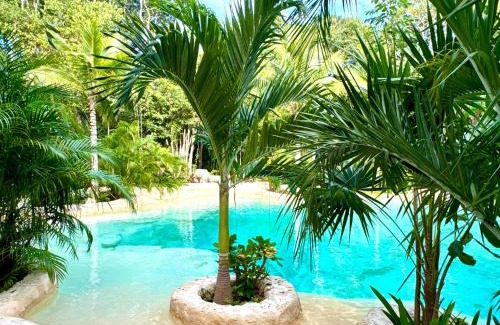 Soliman Bay Other | Glamping Bunga Lotus