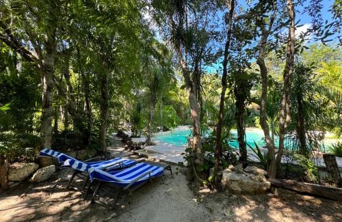 Soliman Bay Other | Glamping Bunga Lotus