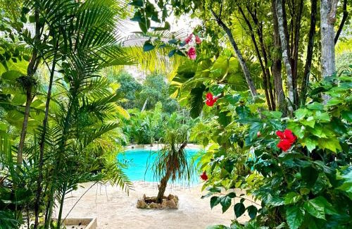 Soliman Bay Other | Glamping Bunga Lotus