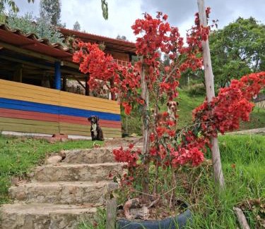 Duitama House | Glamping colina campestre ecológica